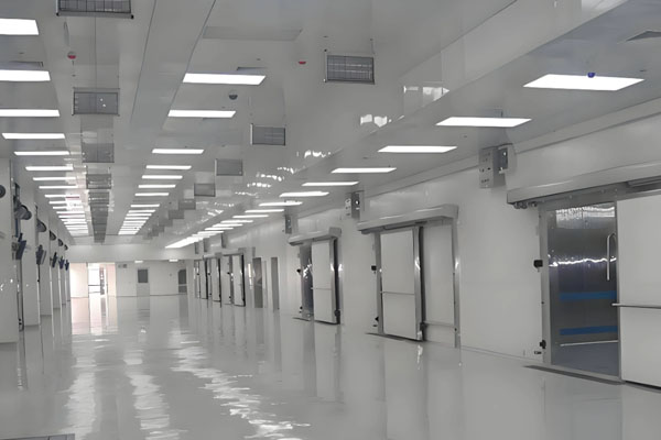 Cold Room Lighting Installation
