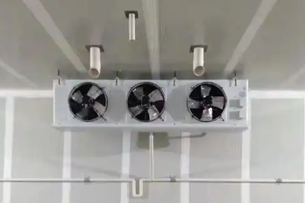 walk-in cooler fan