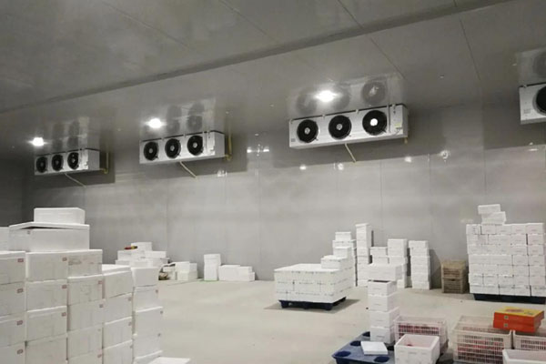 commercial refrigeration fan